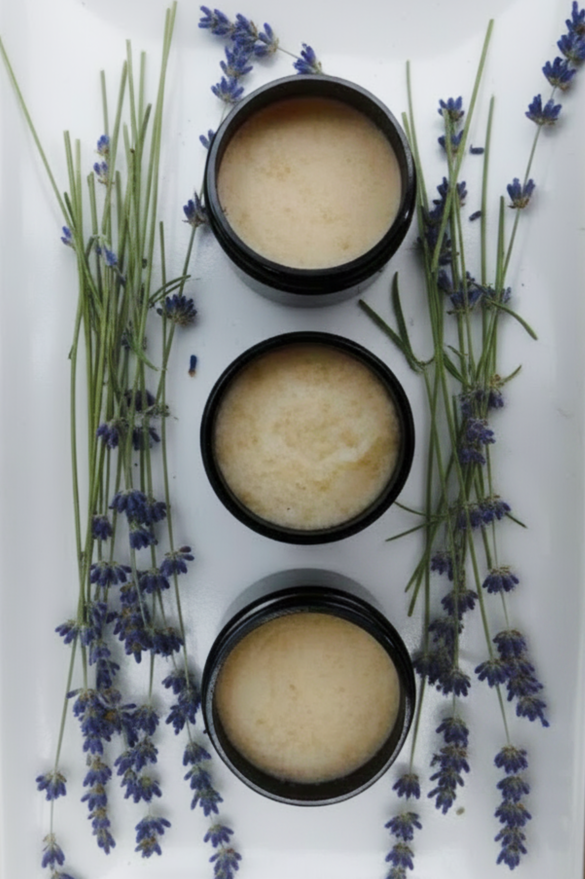 Shea Butter Sugar Scrub-2oz Trio
